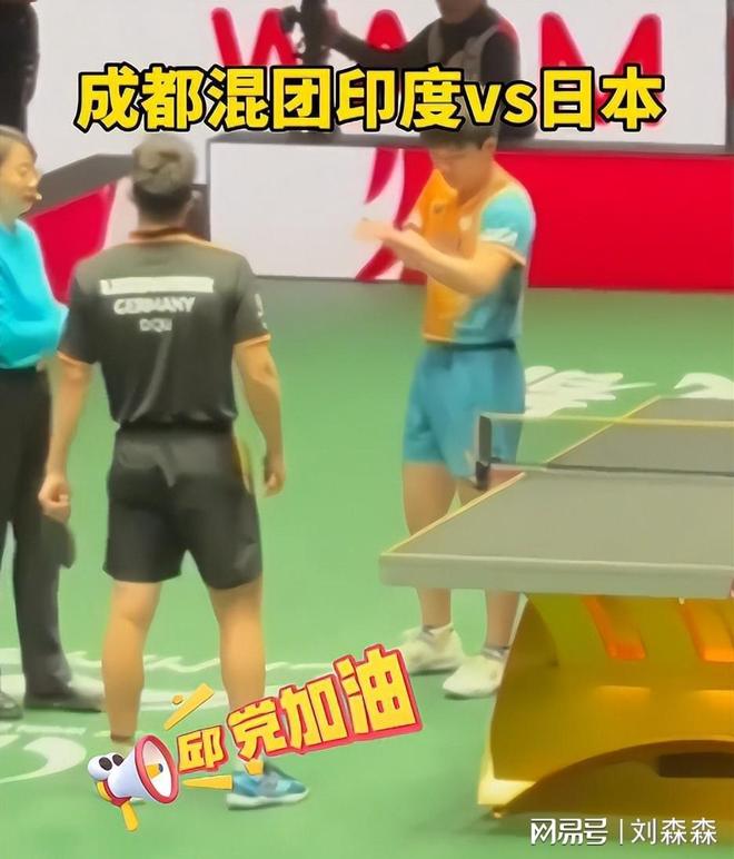 日本队横扫德国队，张本智和带队取胜