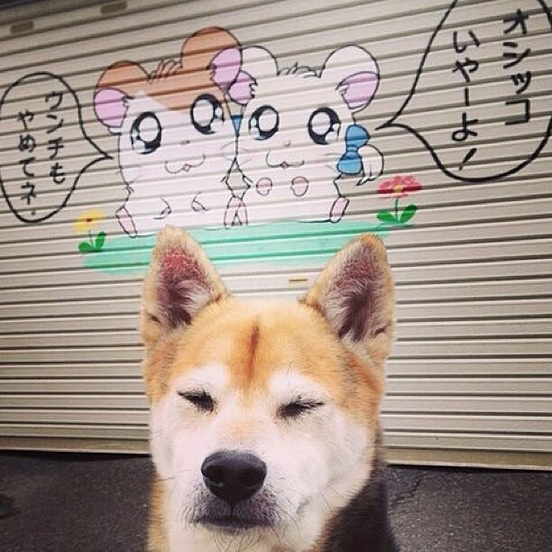 唯一性的绽放，尤文绝杀英格兰，奥亚尔萨瓦尔点燃赛场之夜