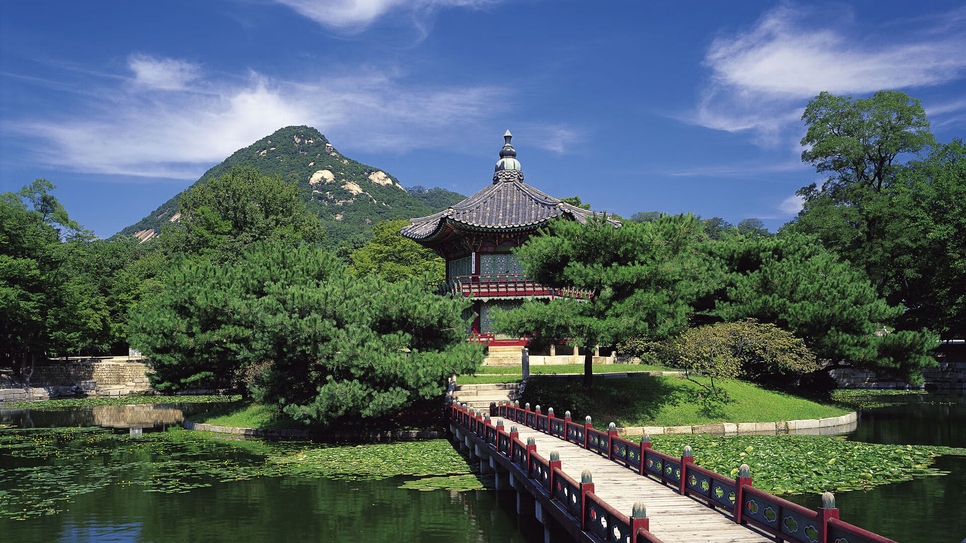 欧洲劲旅的完美战术，丹麦队轻取法国队，李梓嘉关键制胜定乾坤