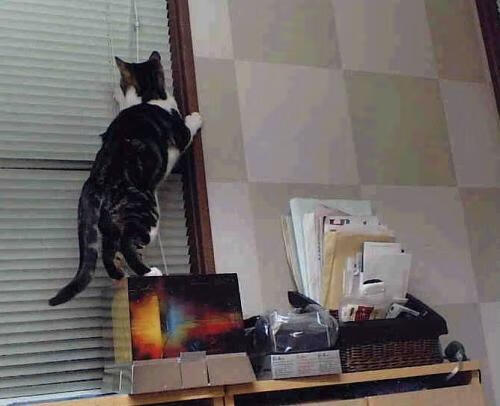 暗夜中的星光，德国队翻盘震惊羽坛，石宇奇逆流刷新纪录