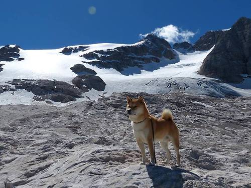绿茵场上的主宰，南非全面压制塞内加尔，特奥在英超争冠中接管比赛