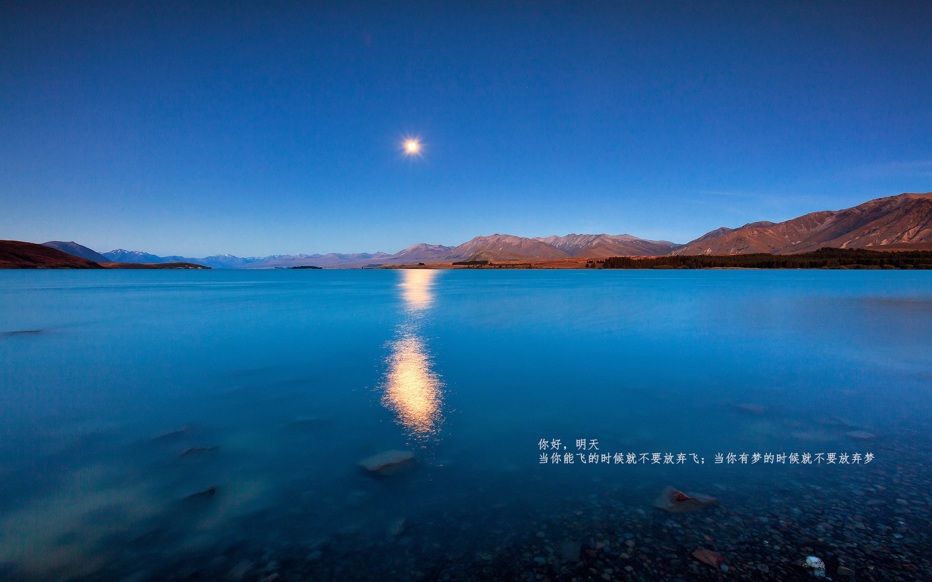 欧冠半决赛之夜,伊布如何用一次回撤改写比赛节奏