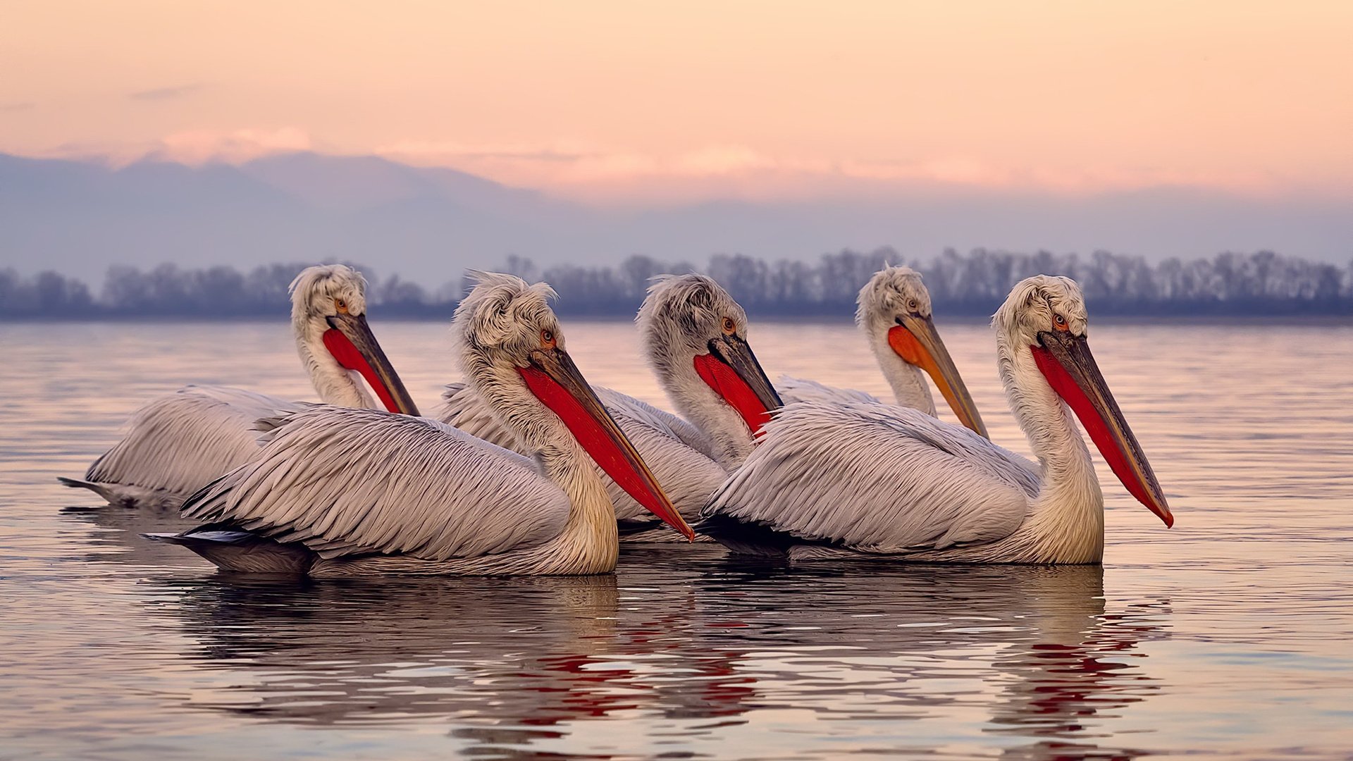 绿茵与引擎的奇妙夜，哈弗茨如何抢走F1年度争冠的头条