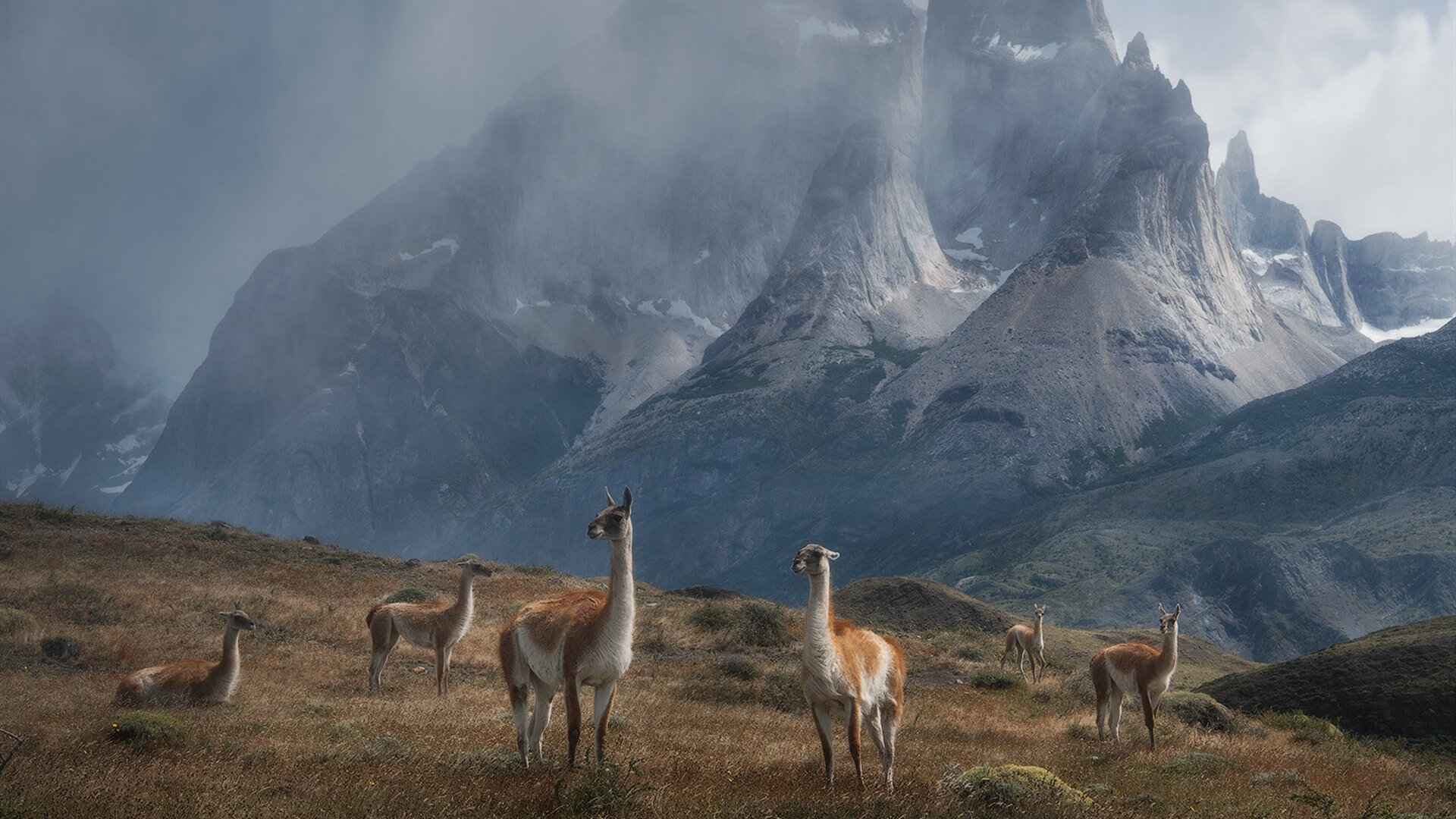 当蓝色奇迹遇上枫叶之盾,基耶萨梅开二度,亚特兰大跨洲征服加拿大!
