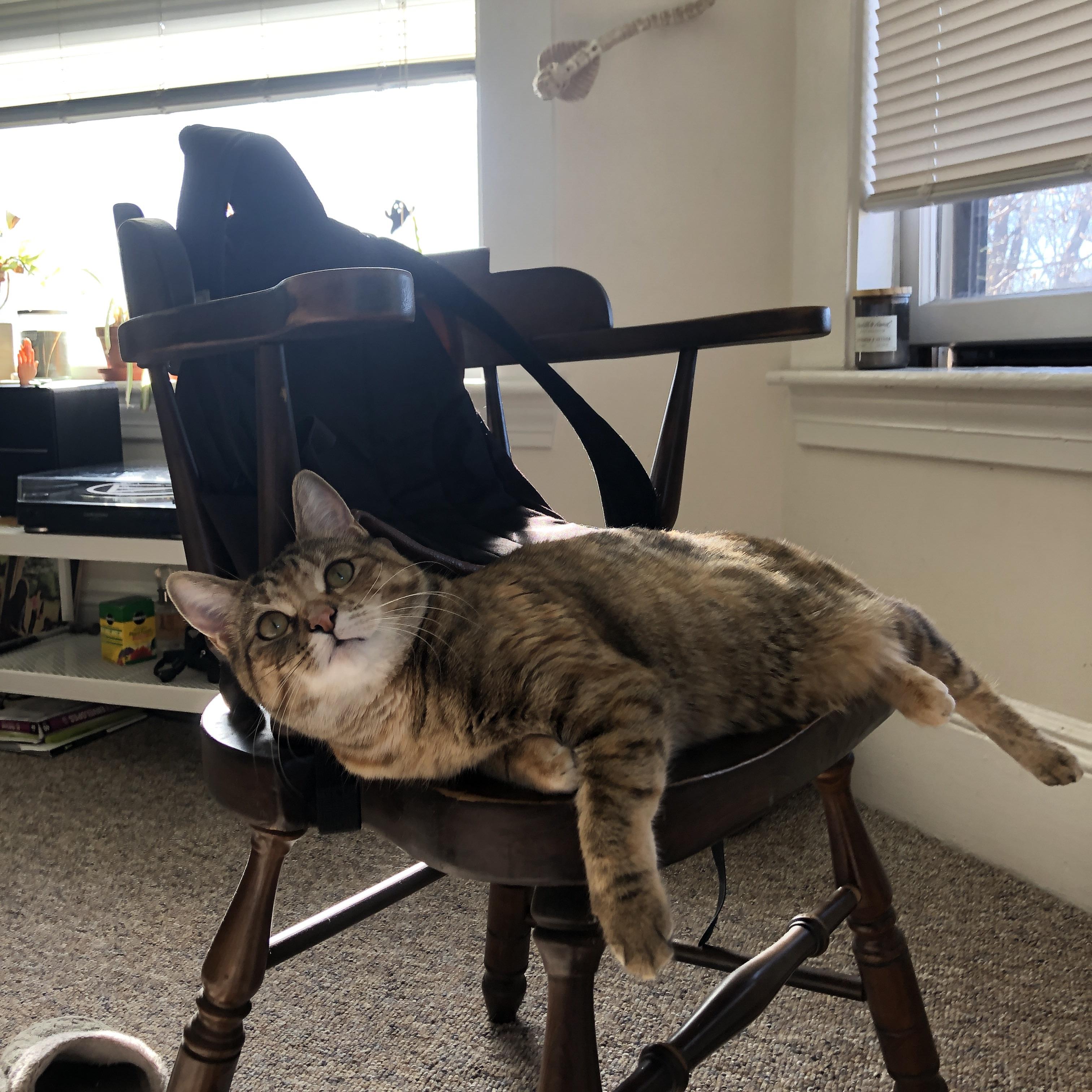 篮网三叉戟撕裂灰熊防线，克莱末节19分导演翻盘好戏—一场无法复制的经典