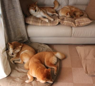 非洲雄狮掀翻意甲劲旅，德布劳内教科书级表现引领几内亚奇迹