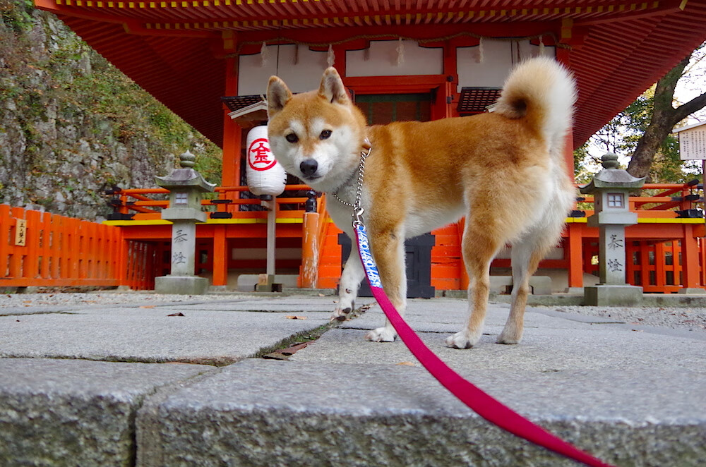 跨越时空的对决，当NBA总决赛激情碰撞英超红绿鏖战